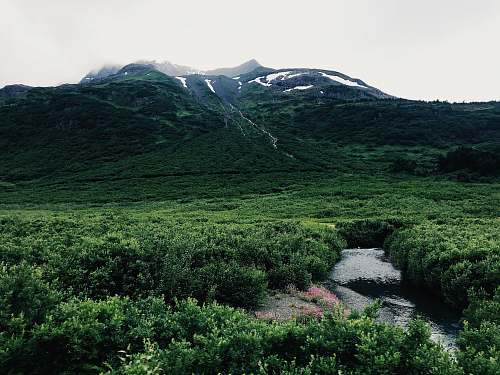 41437 hunter rem ne forest beside mountain moose pass
